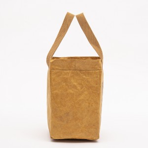 Lunch Bag Picnic Box ECO Friendly Recyclable Insulated Waterproof Bag